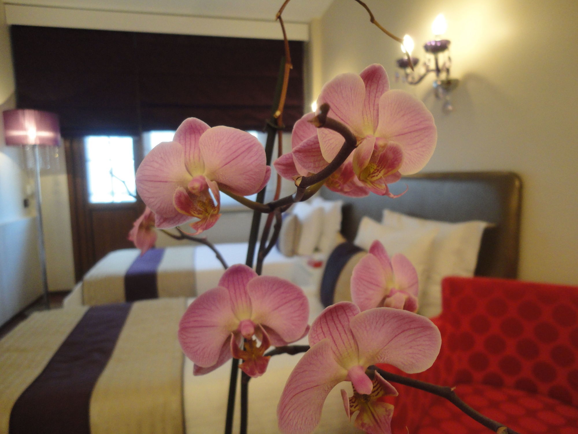 Bakirkoy Tashan Business & Airport Hotel Istanbul Luaran gambar
